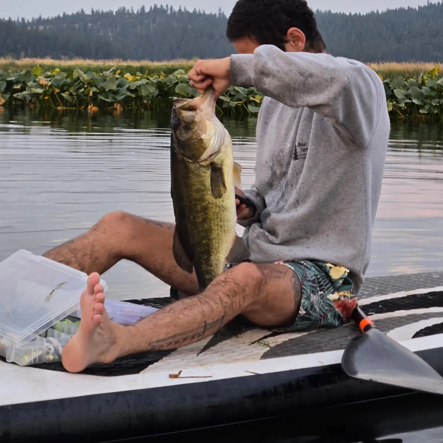 Largemouth bass caught on Fishbrain