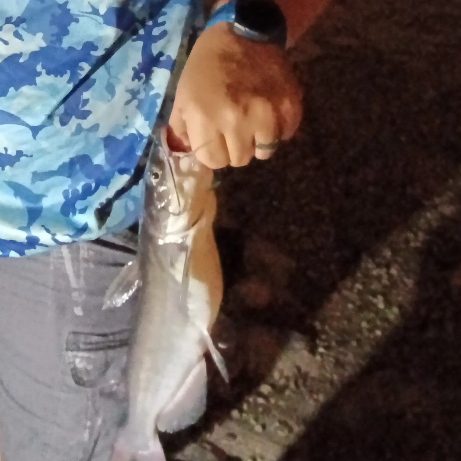 catch