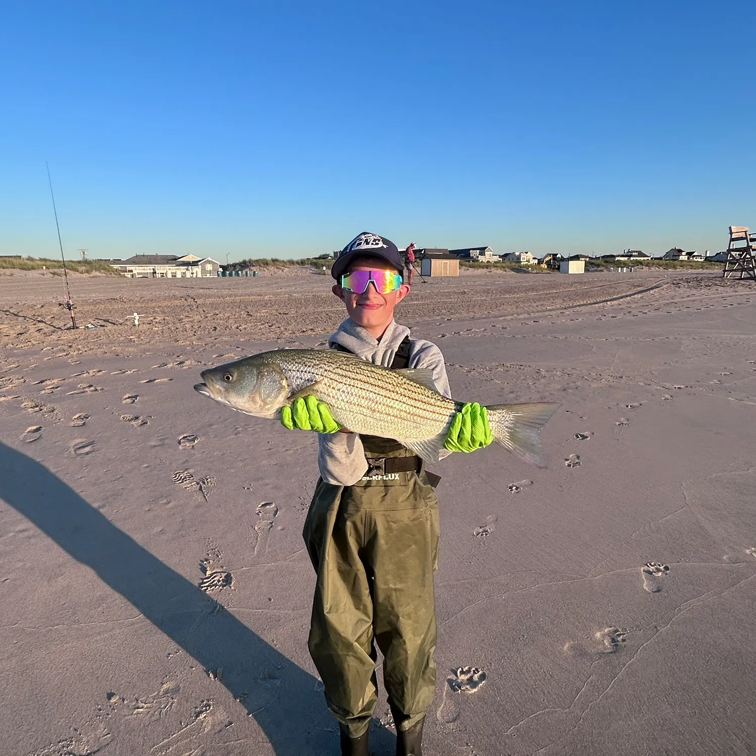 Striped bass caught on Fishbrain