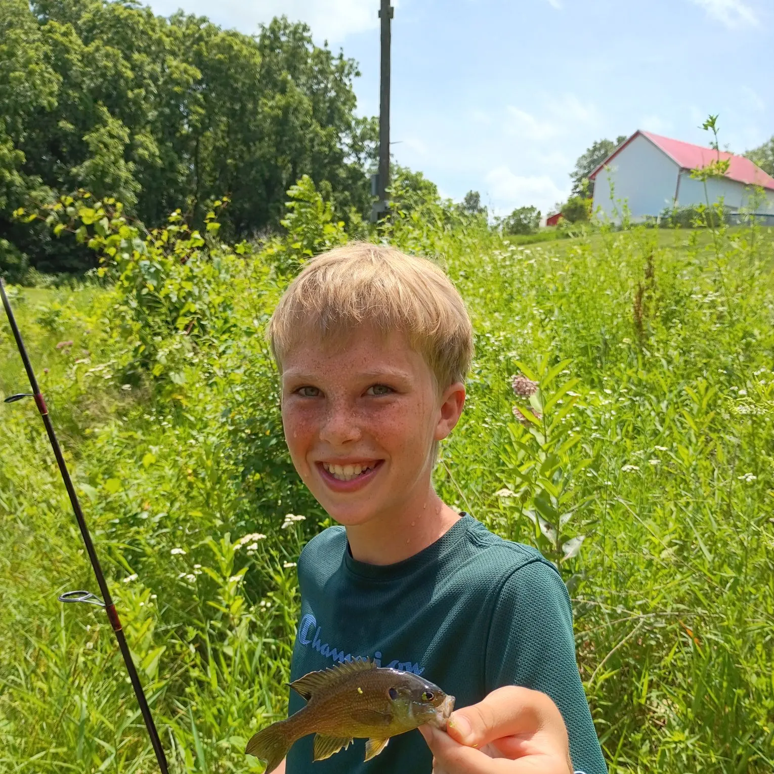 The most recent Wargill hybrid catches on Fishbrain