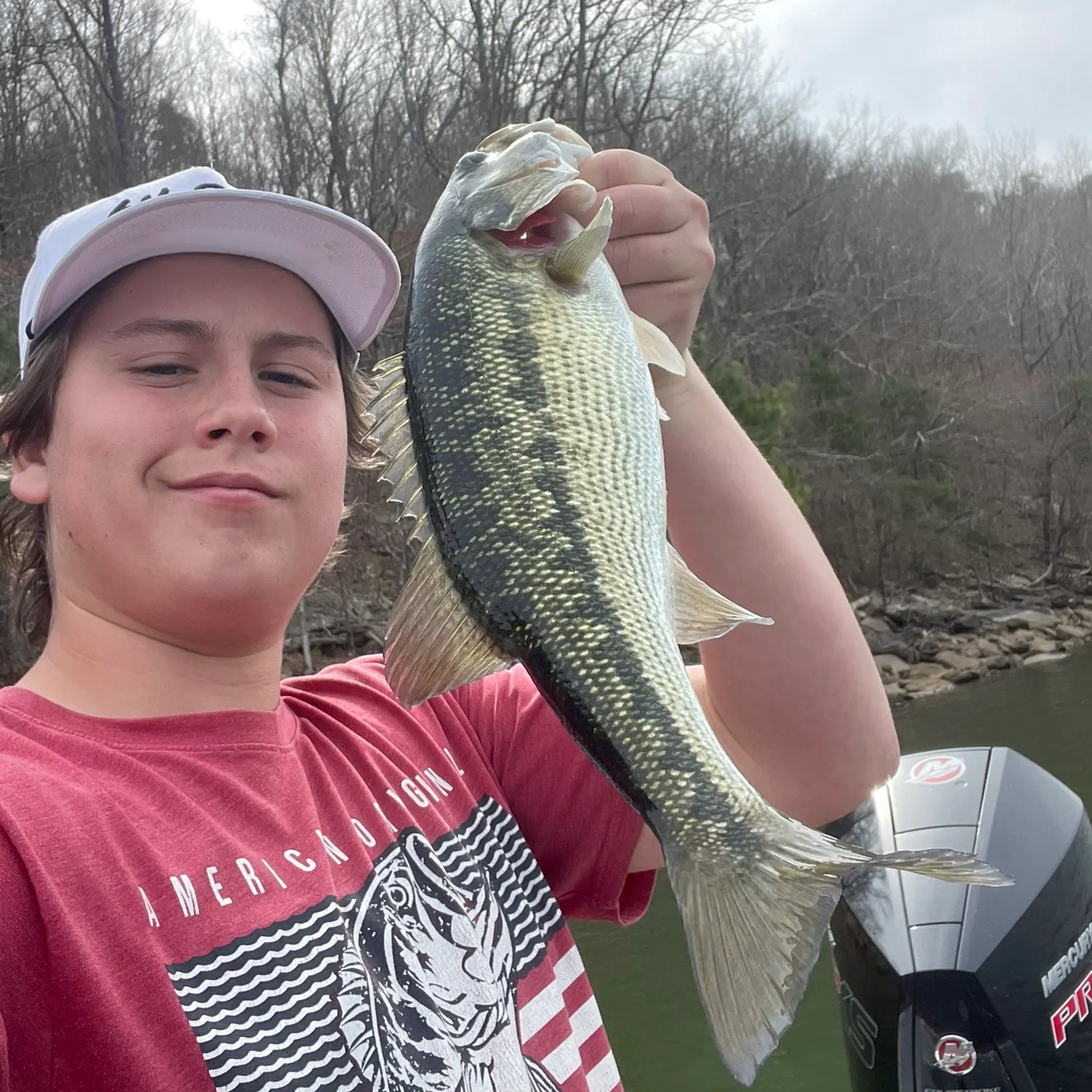 The most recent Alabama bass catches on Fishbrain