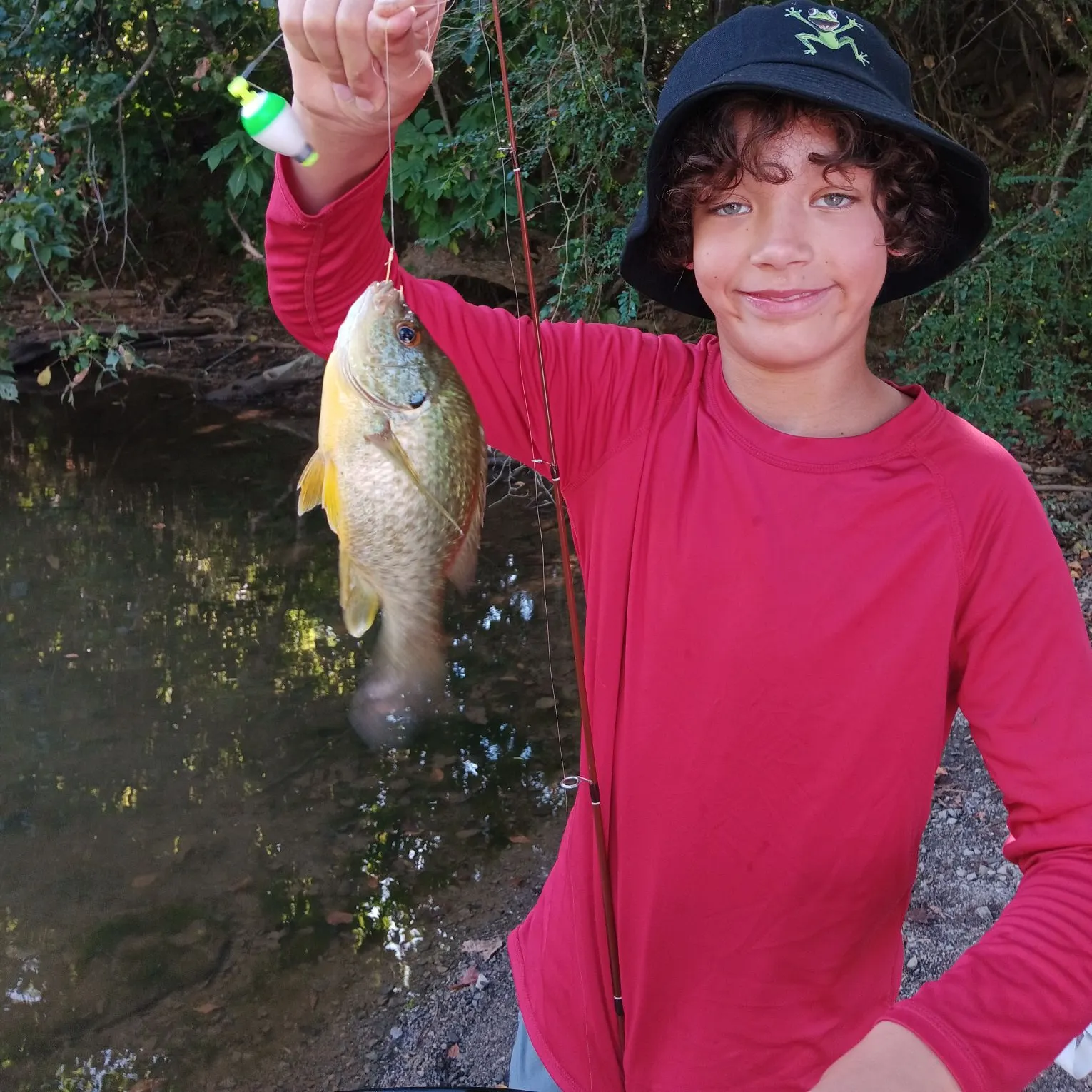 Redear sunfish caught on Fishbrain