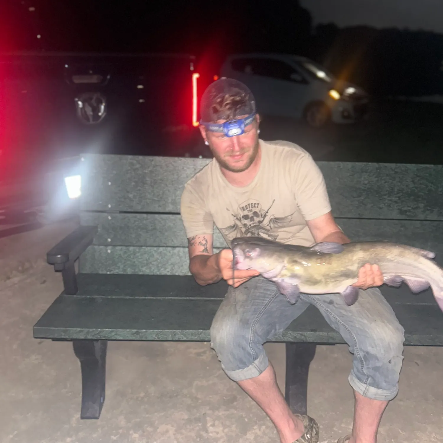 Channel catfish caught on Fishbrain