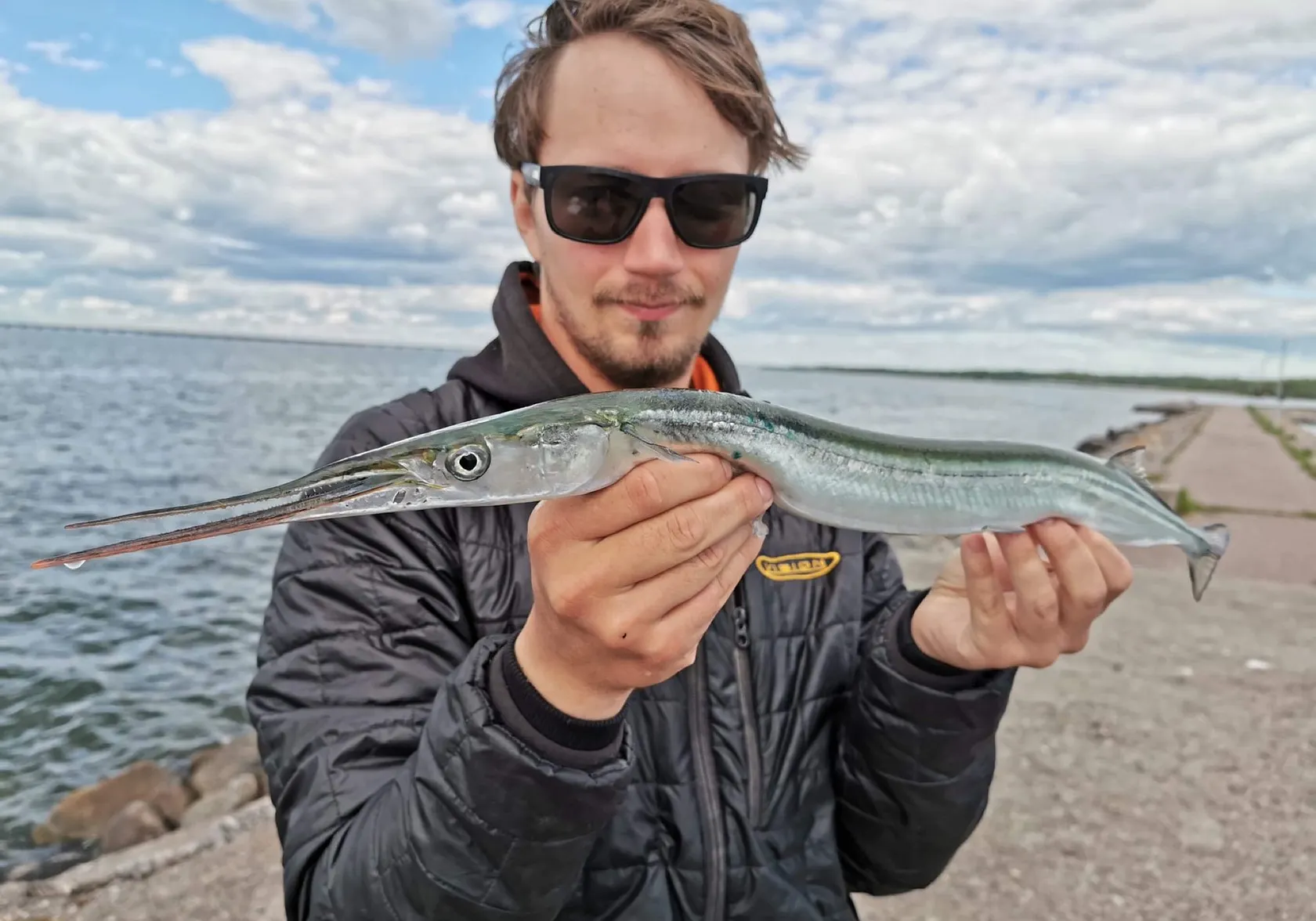 European garfish