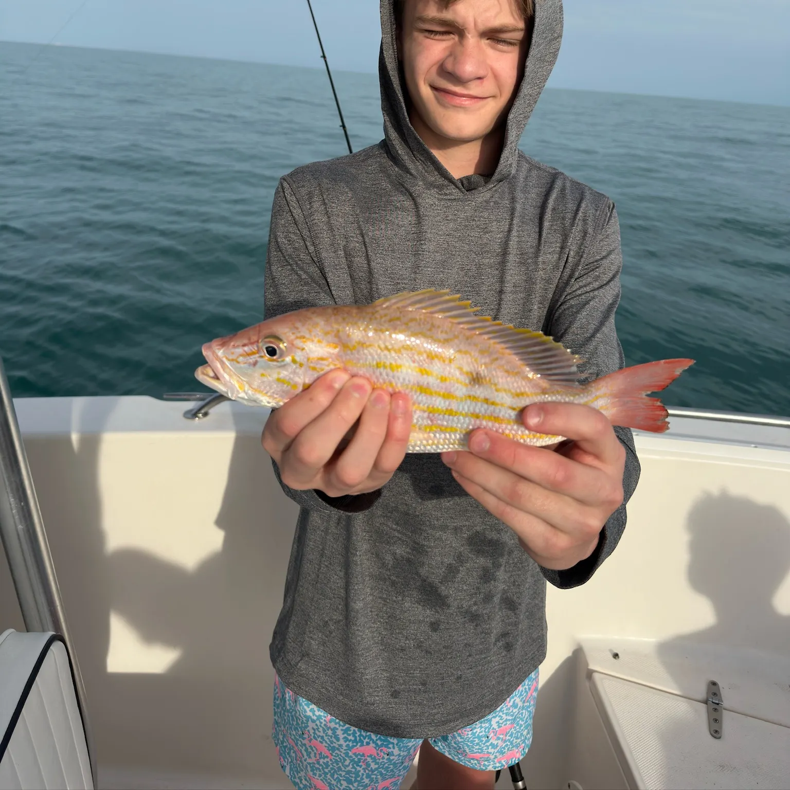 The most recent Lane snapper catches on Fishbrain