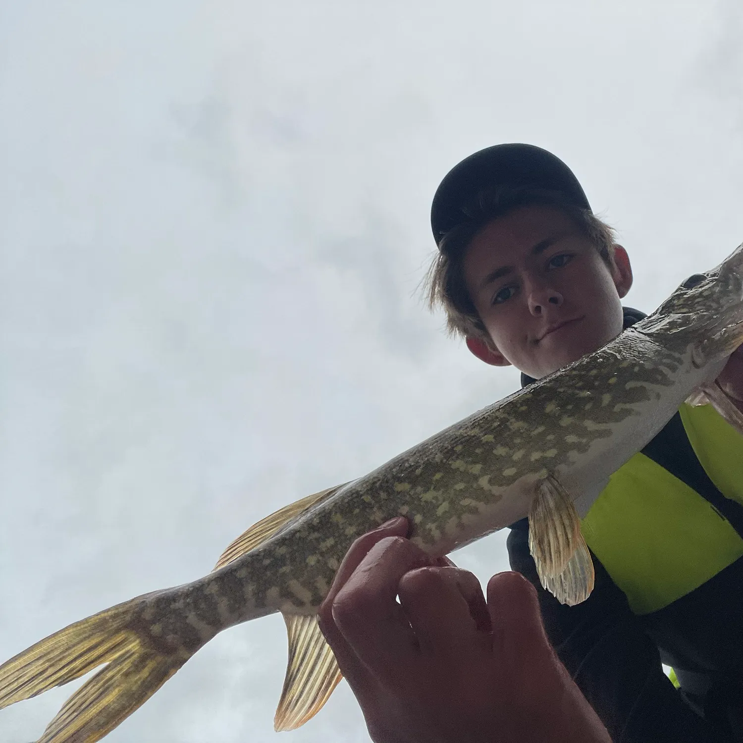 Northern pike caught on Fishbrain