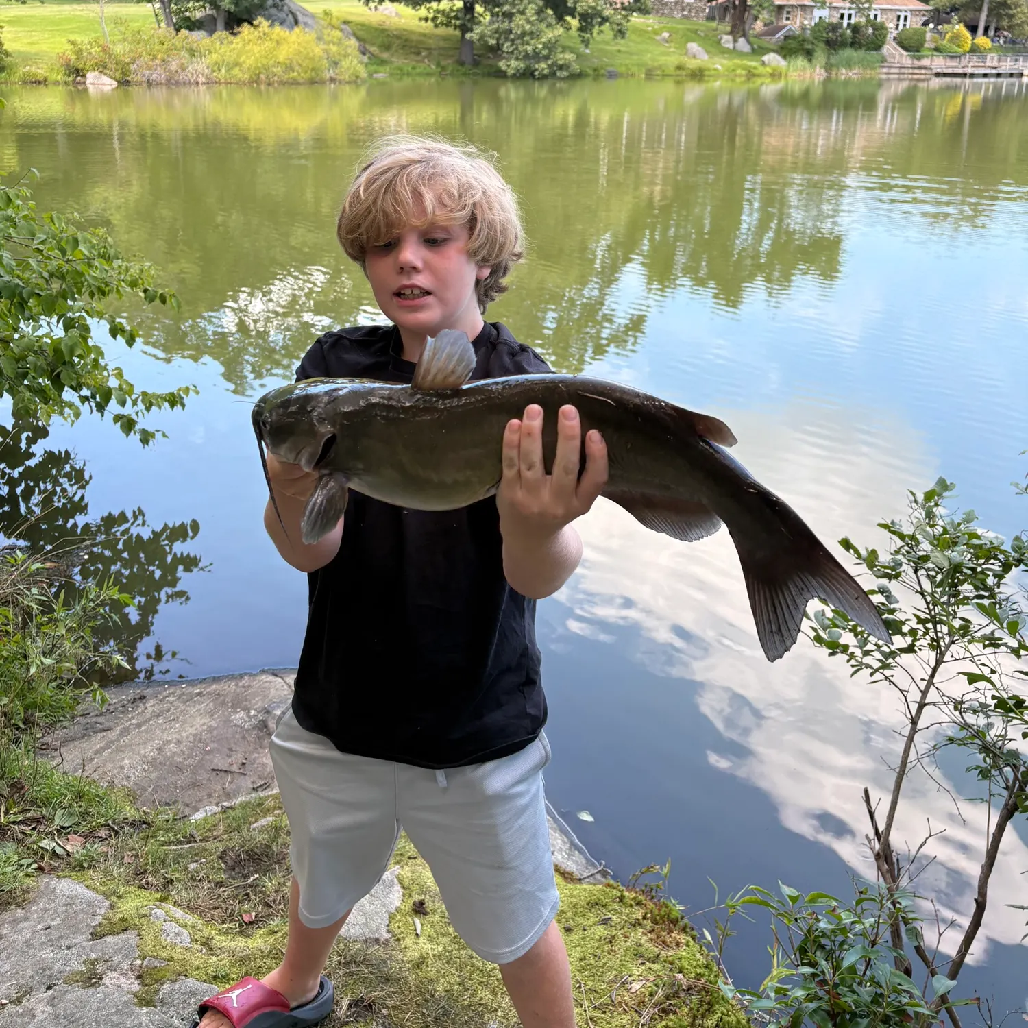 Channel catfish caught on Fishbrain