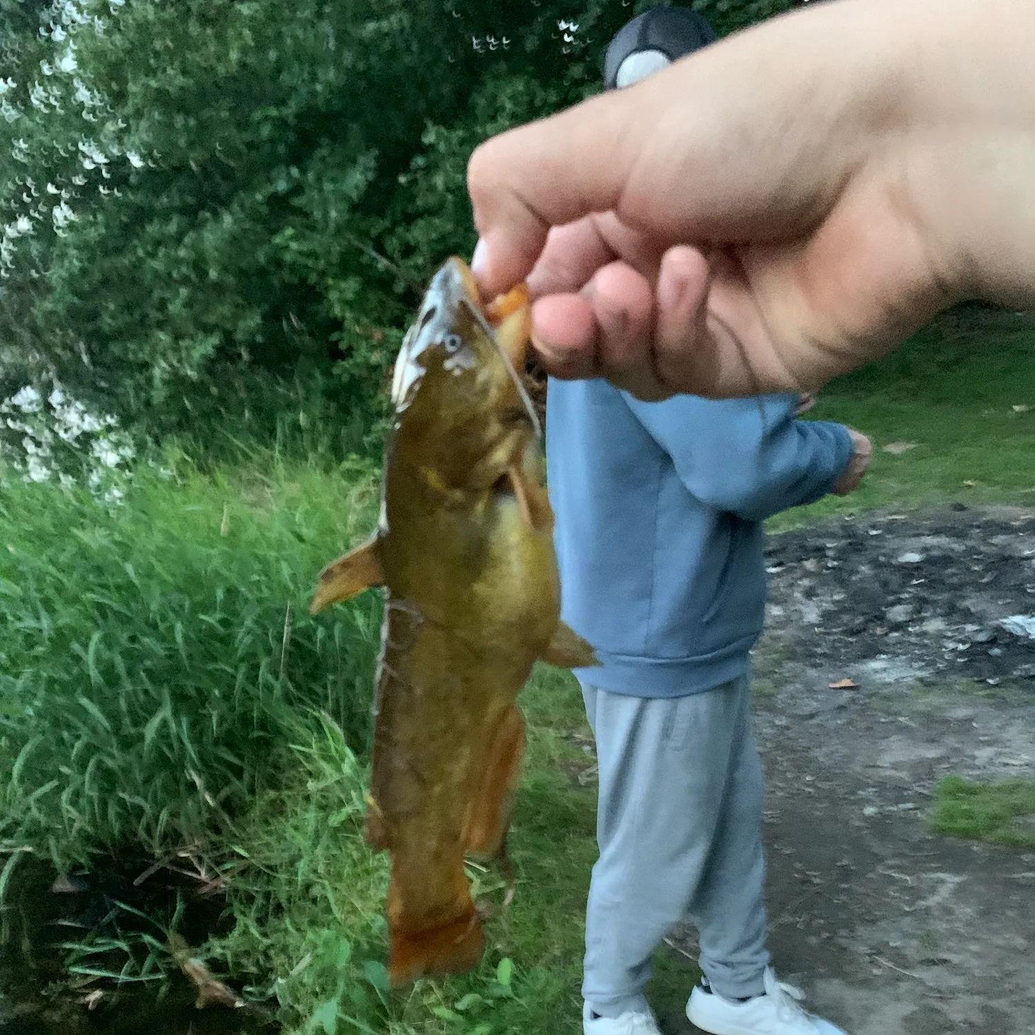 catch