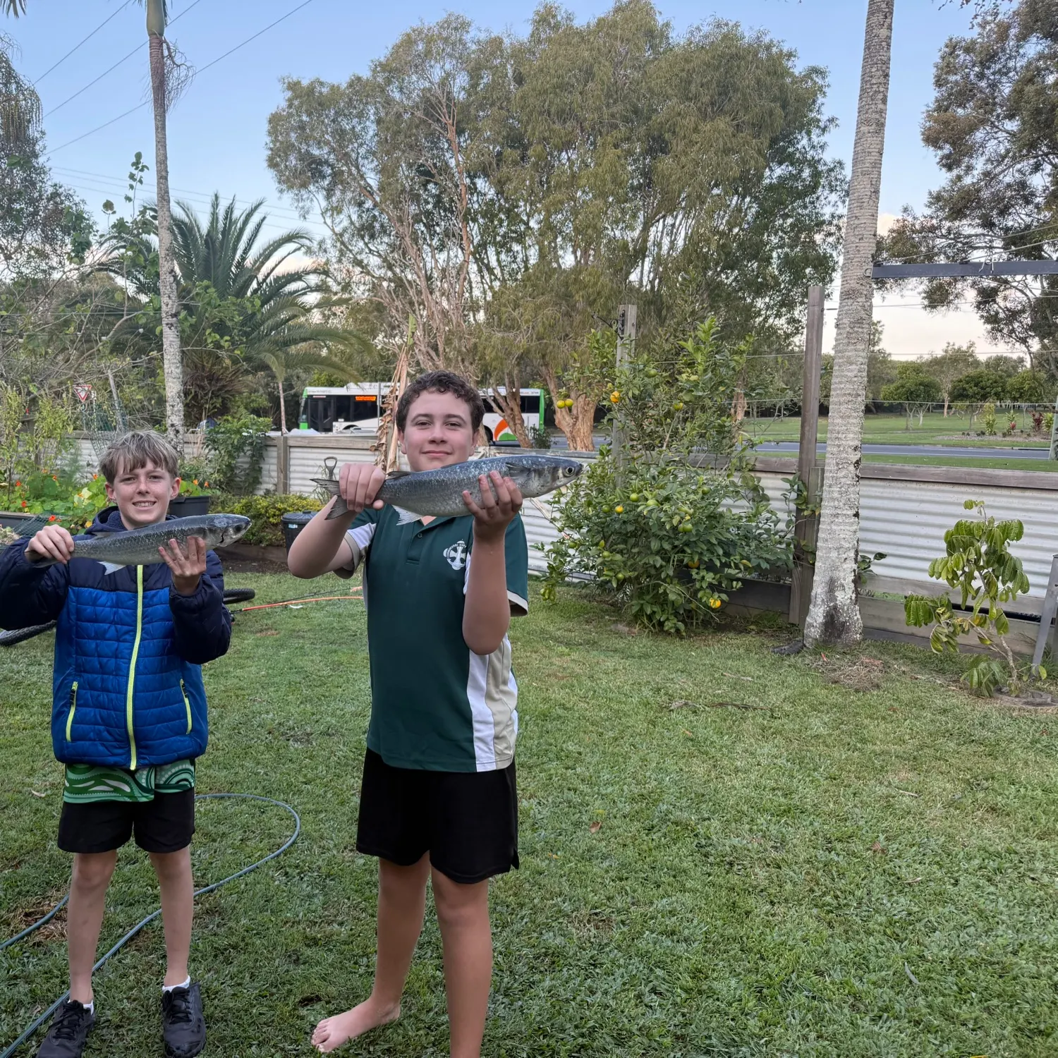 The most recent Largescale mullet catches on Fishbrain