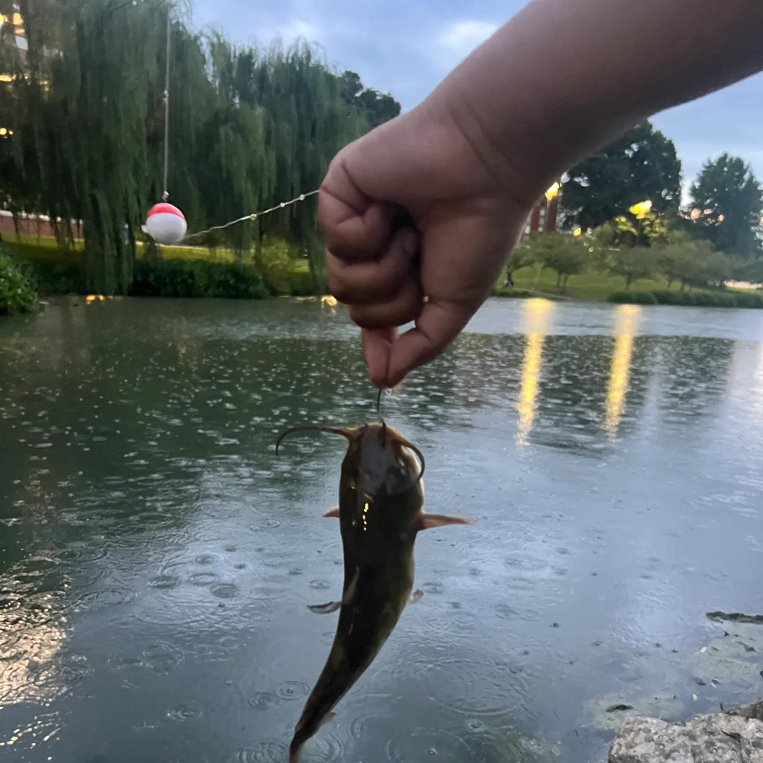 catch