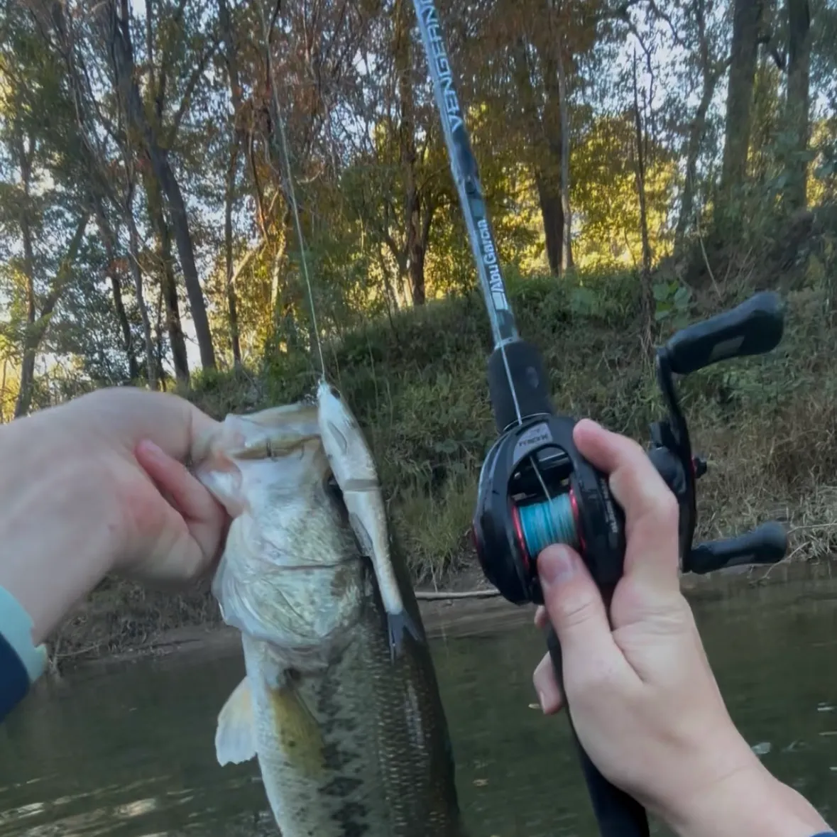 Largemouth bass caught on Fishbrain