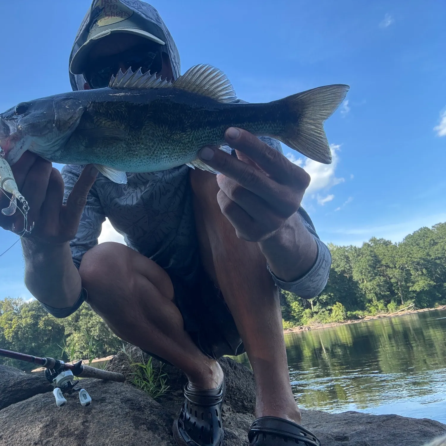 Spotted bass caught on Fishbrain