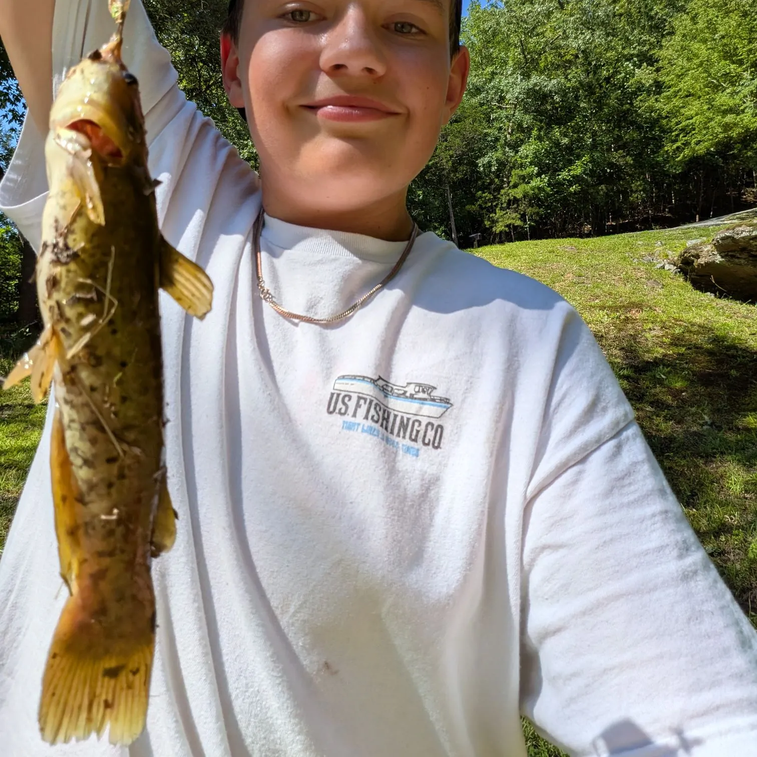 The most recent Flat bullhead catches on Fishbrain