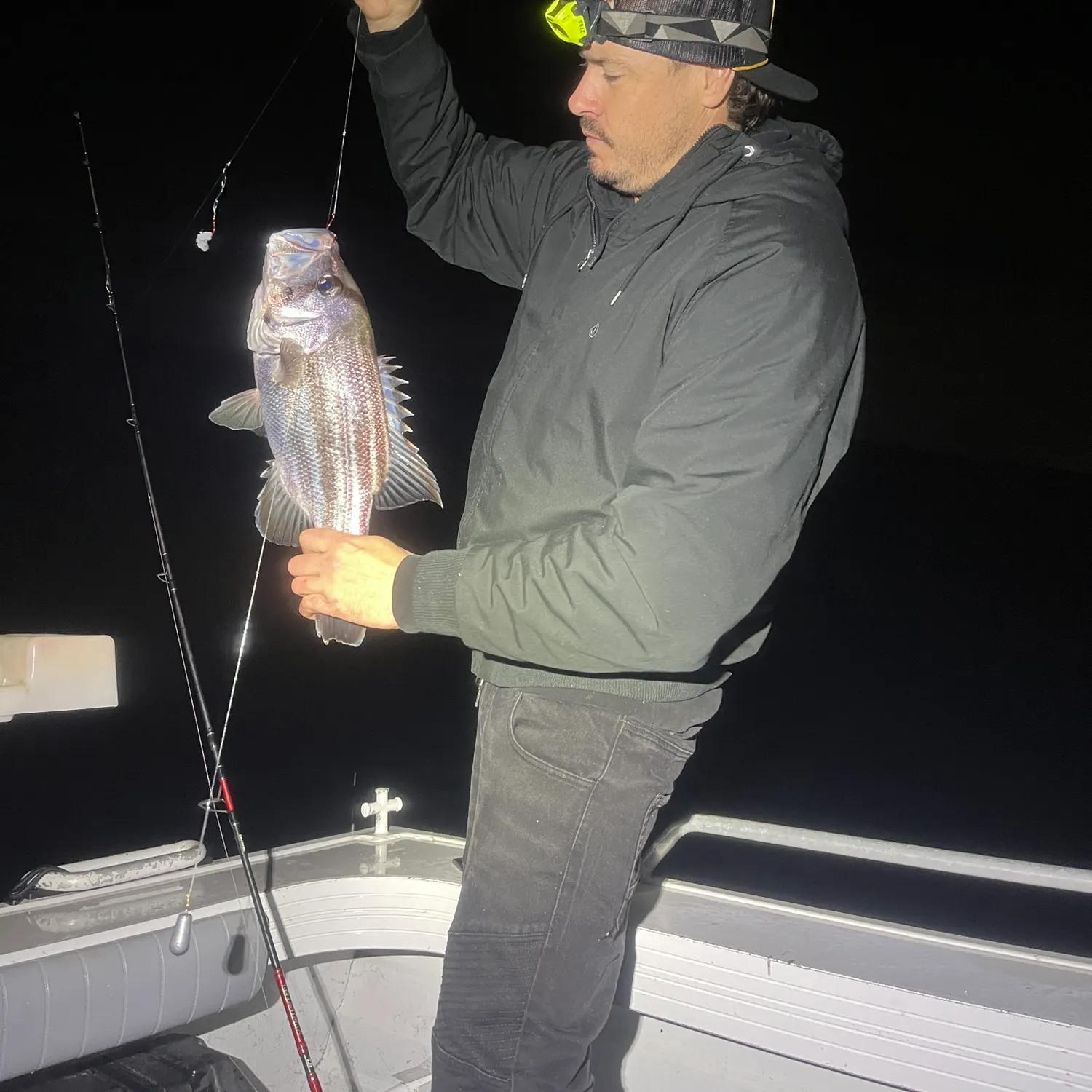 The most recent Westralian jewfish catches on Fishbrain