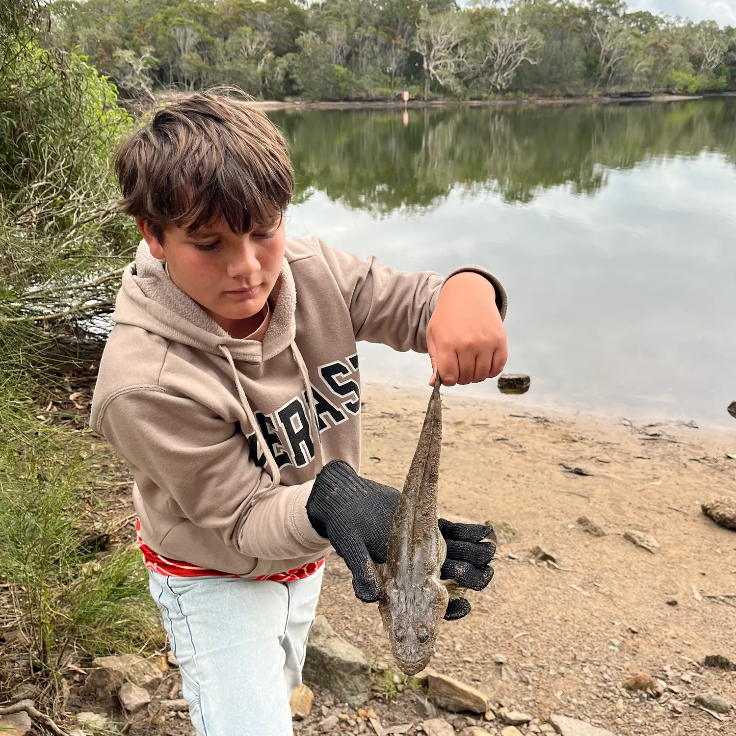 The most recent Dusky flathead catches on Fishbrain