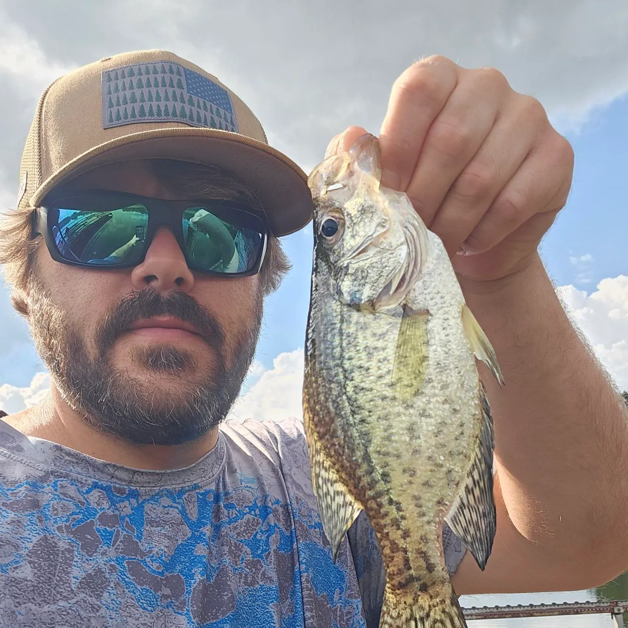 Black crappie caught on Fishbrain
