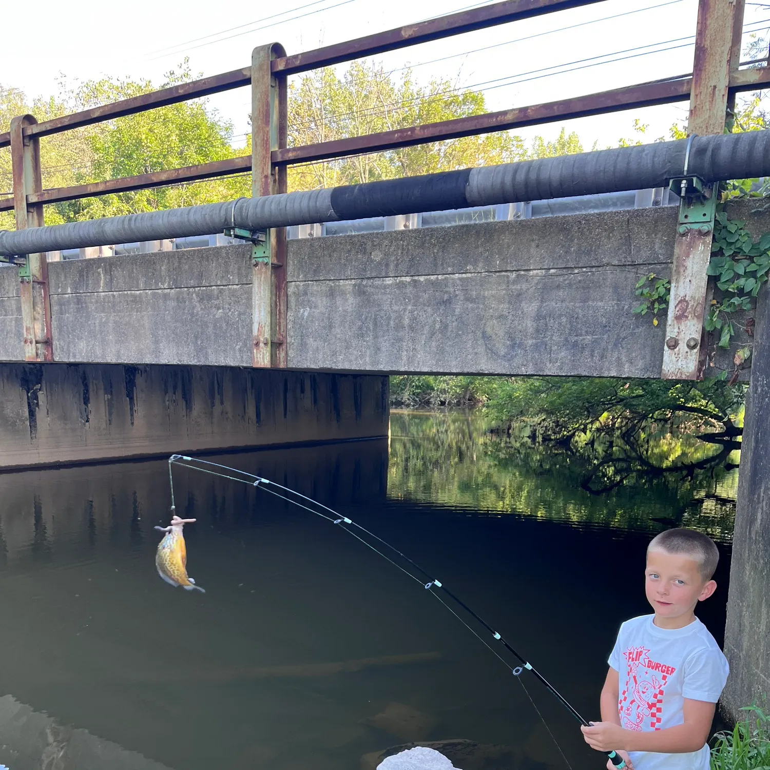Bluegill caught on Fishbrain
