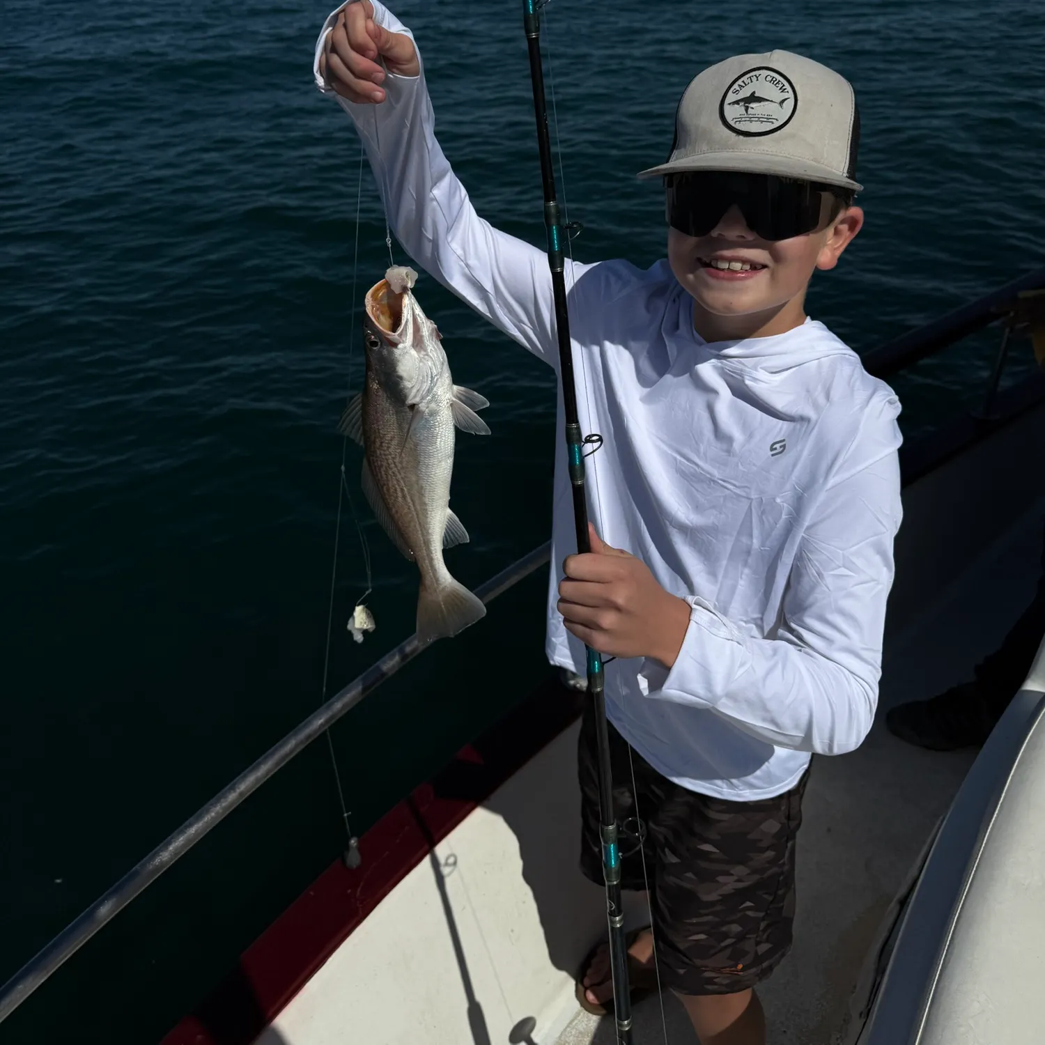 The most recent Rock sea bass catches on Fishbrain