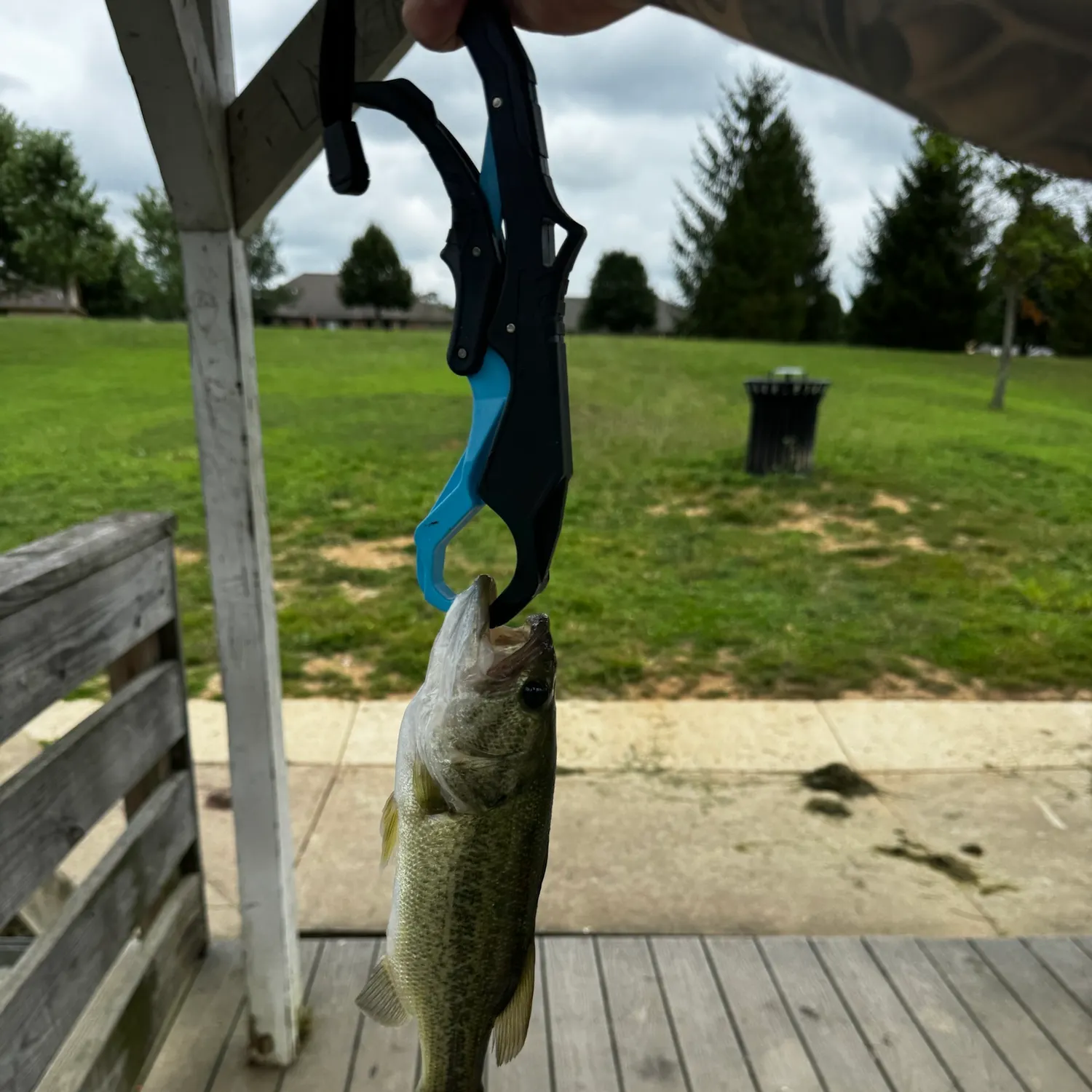 catch