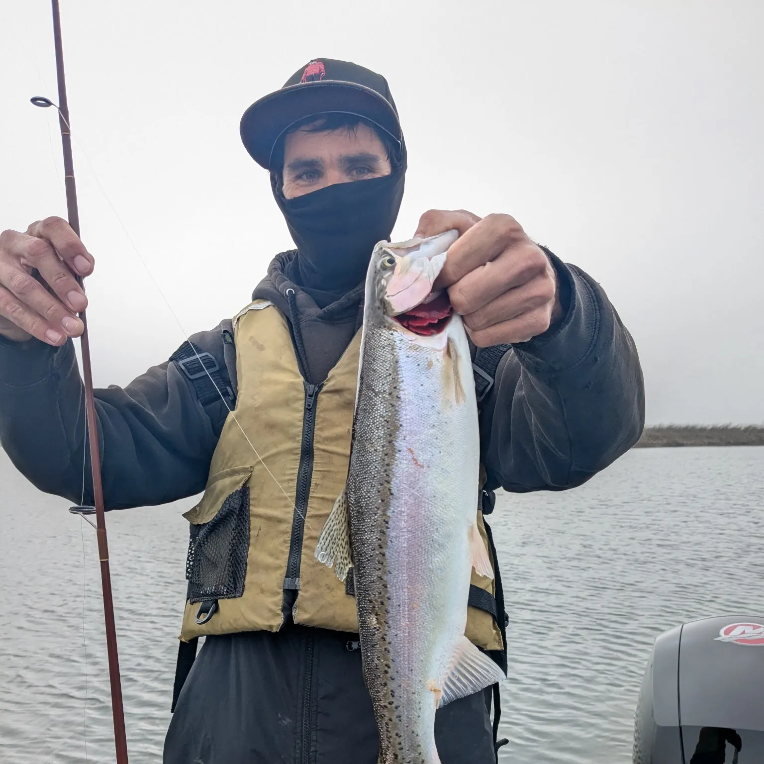 The most recent Steelhead catches on Fishbrain