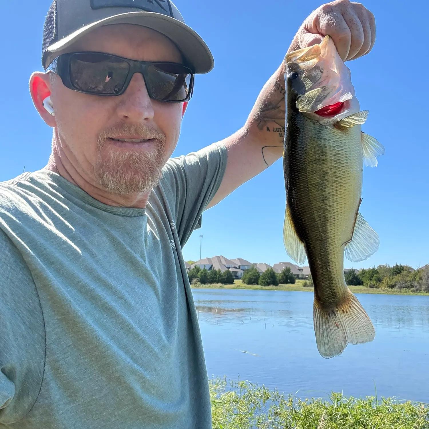 Largemouth bass caught on Fishbrain