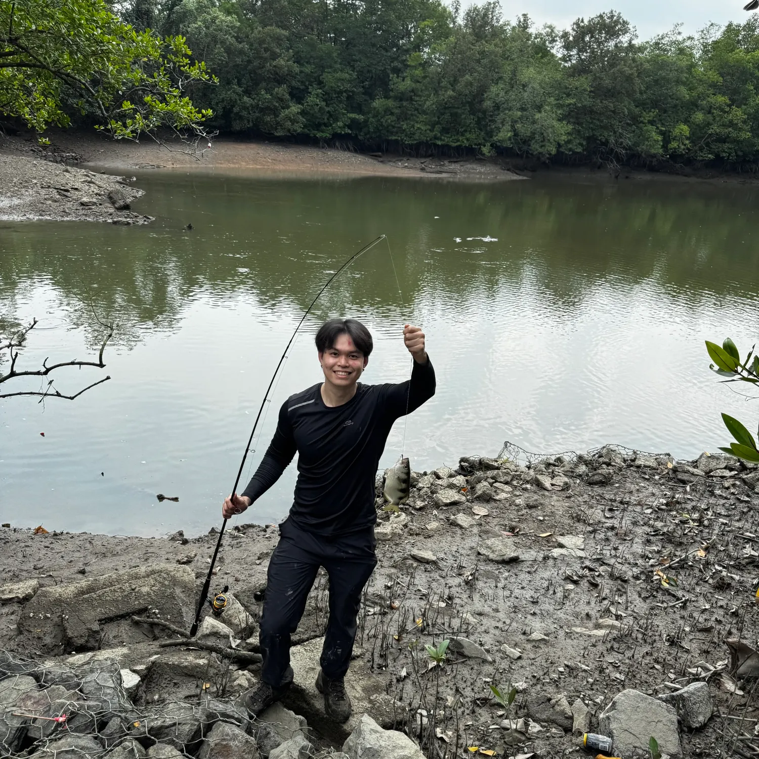 The most recent Banded archerfish catches on Fishbrain