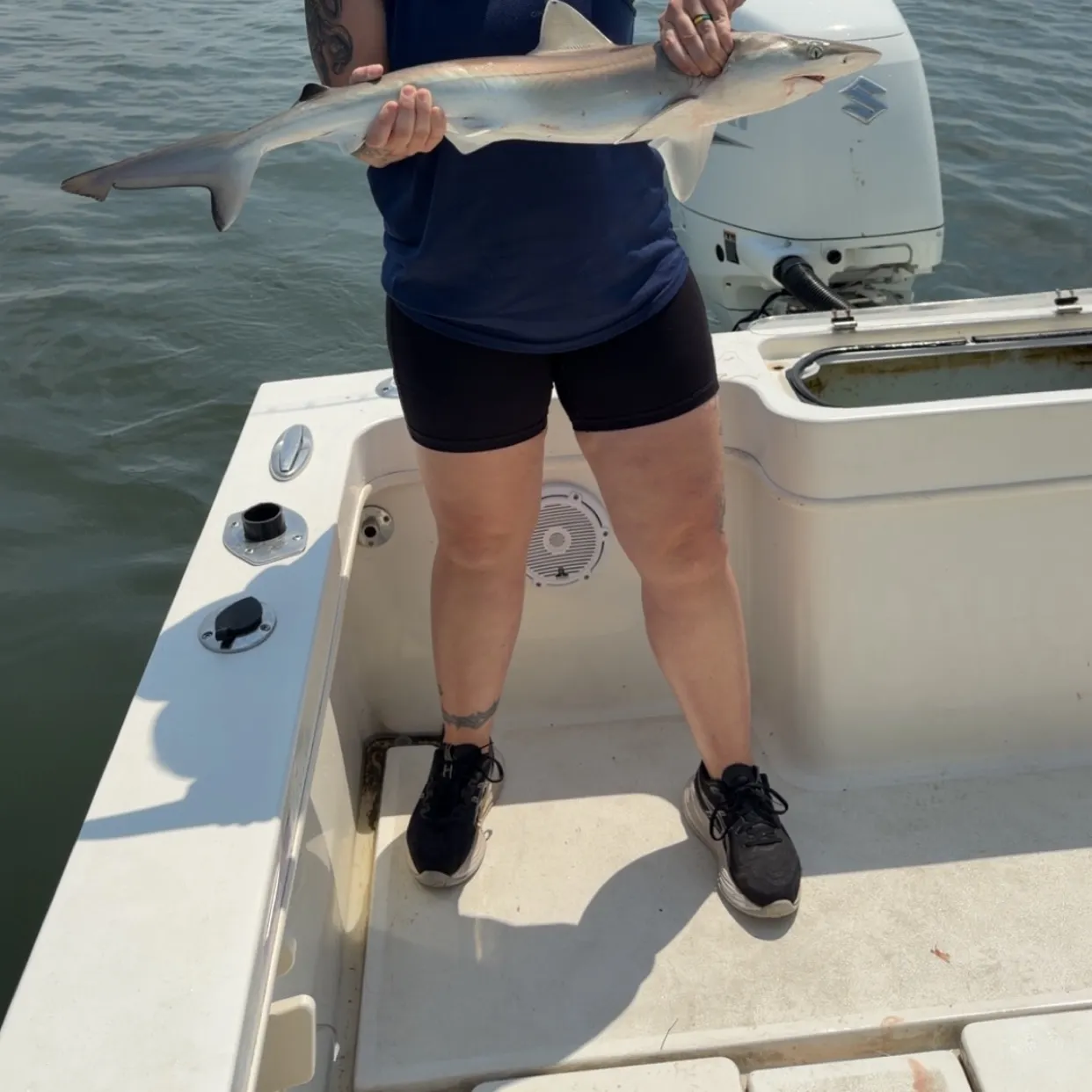 Atlantic sharpnose shark caught on Fishbrain