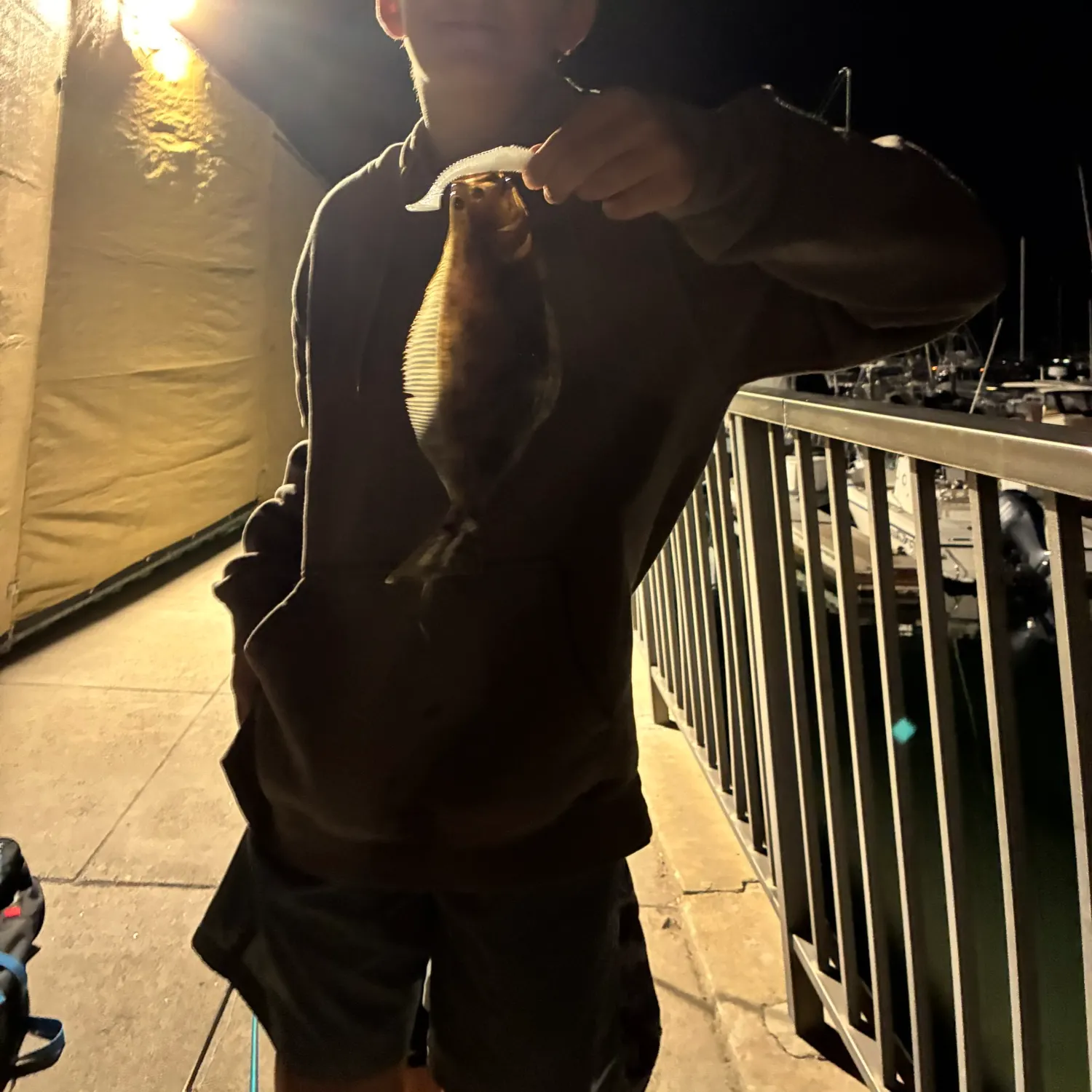 The most recent California halibut catches on Fishbrain