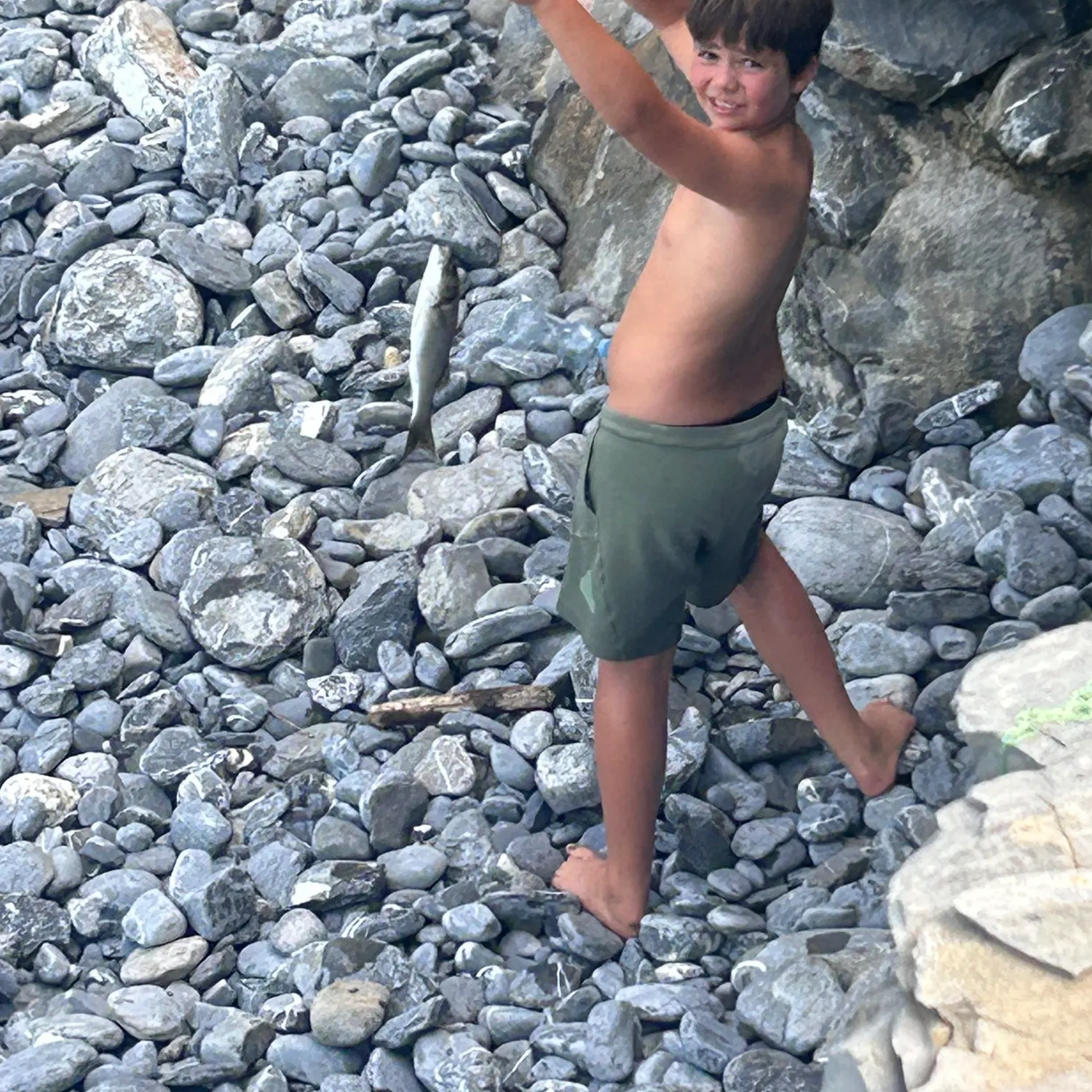 Striped bass caught on Fishbrain