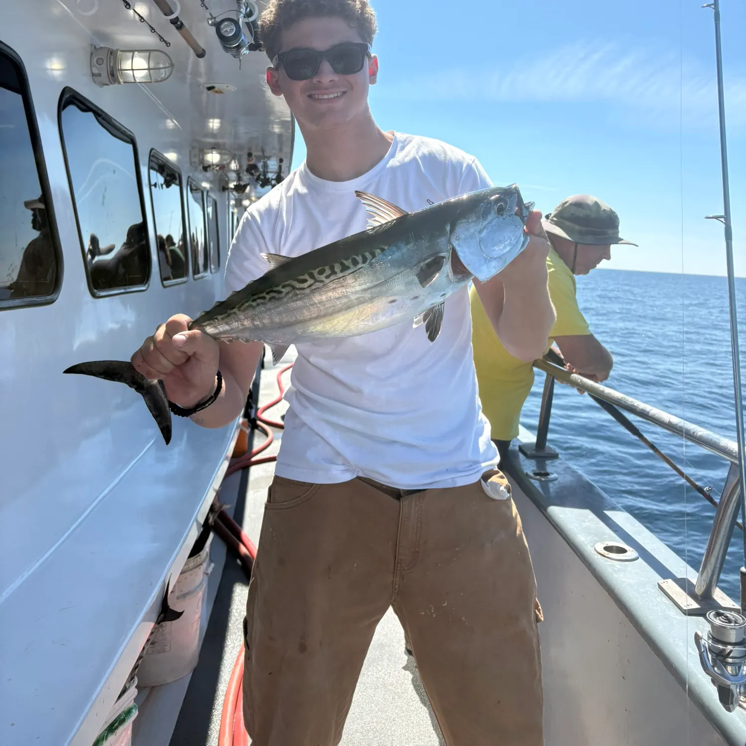 Little tunny caught on Fishbrain