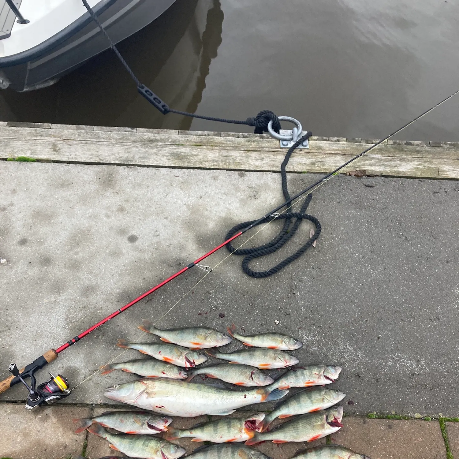 angler catch