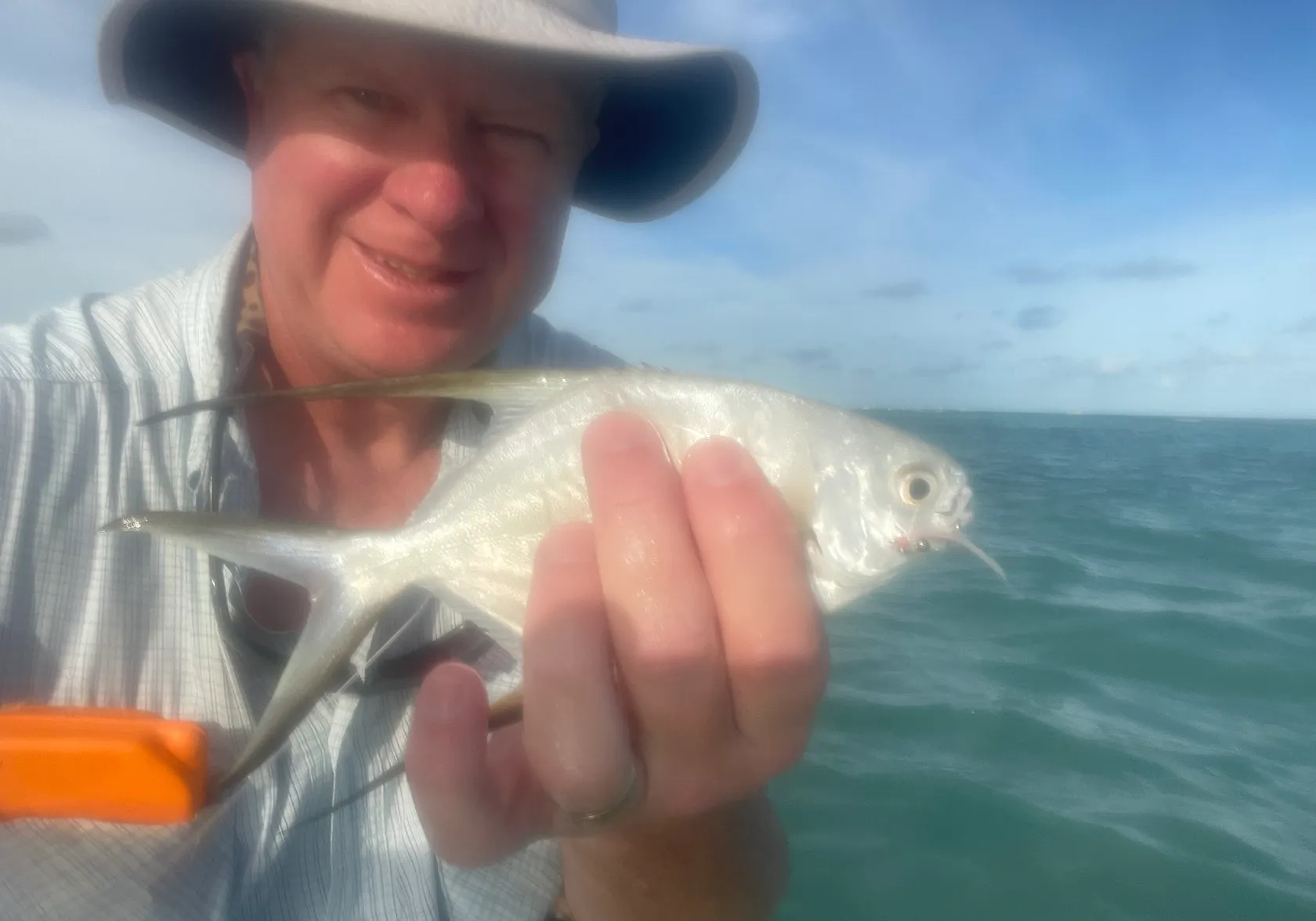 Palometa