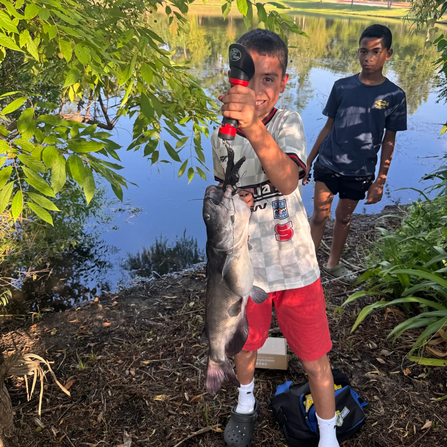 Channel catfish caught on Fishbrain