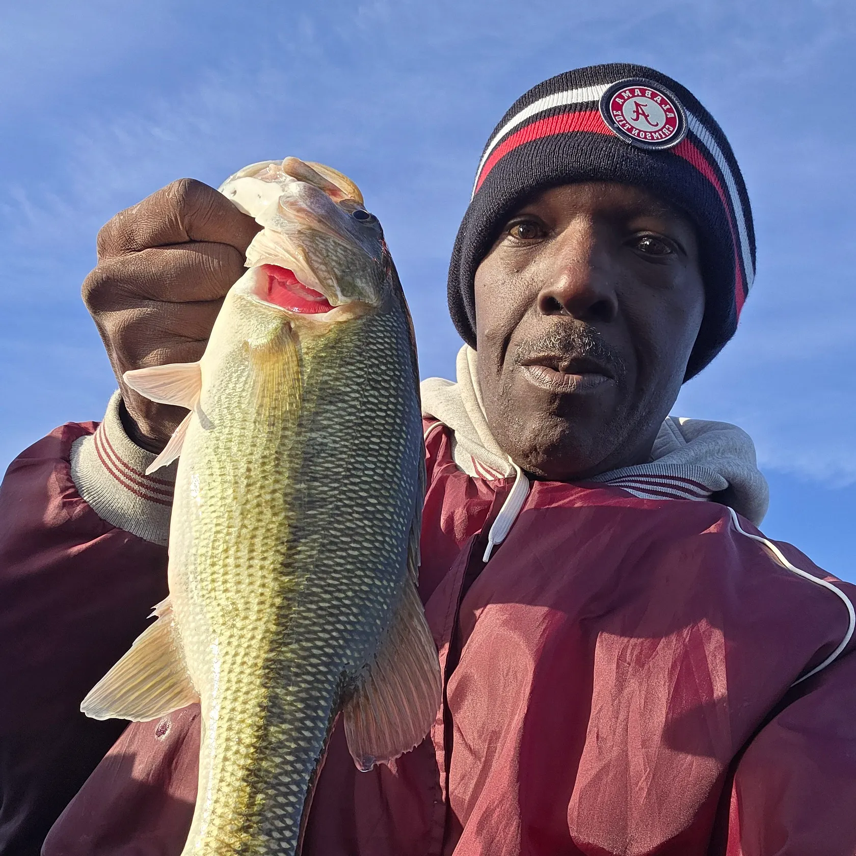 Spotted bass caught on Fishbrain
