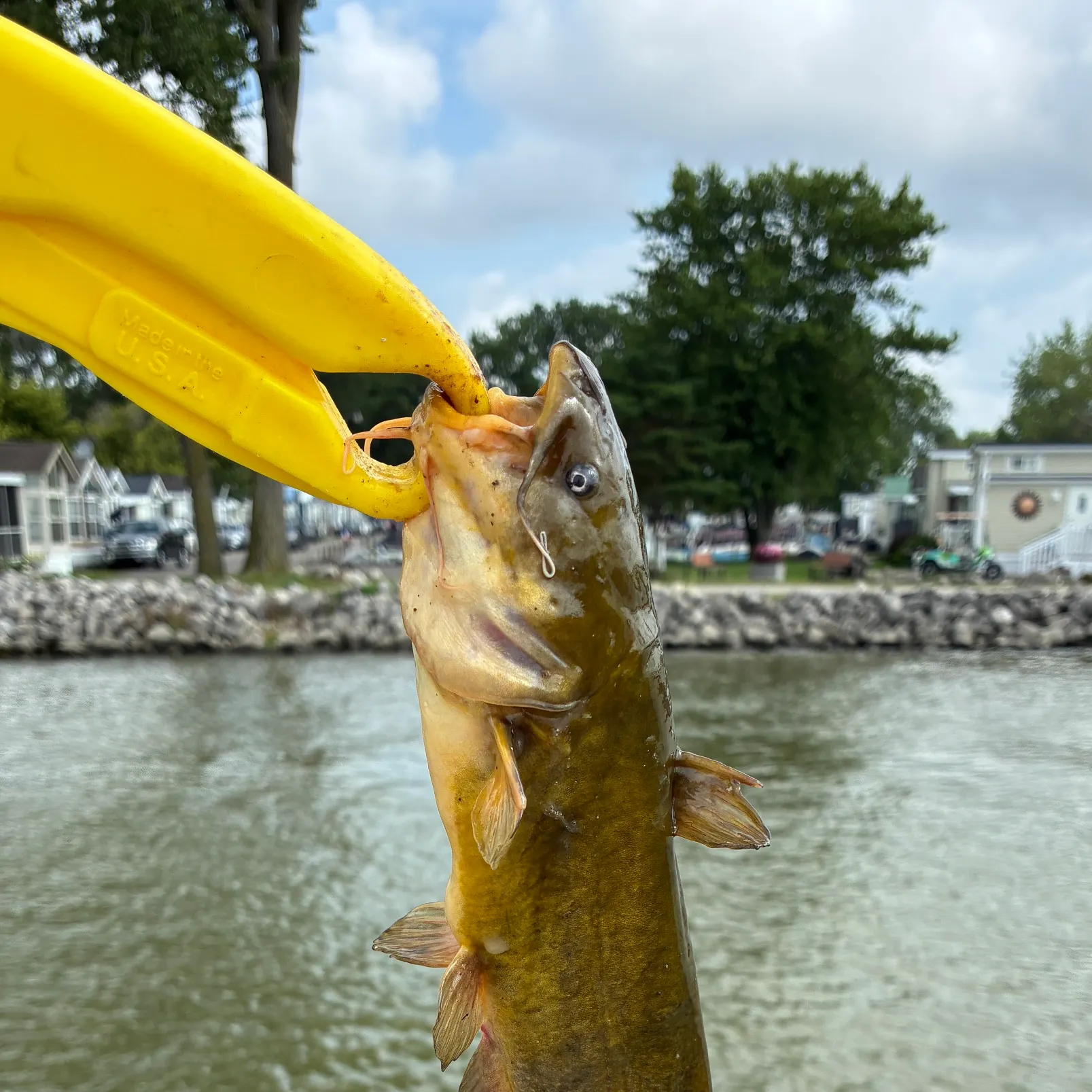 catch