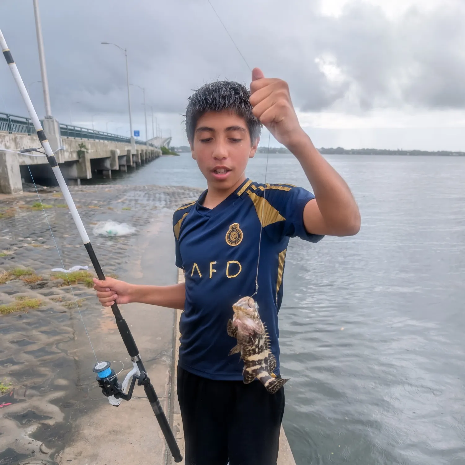 Atlantic goliath grouper caught on Fishbrain