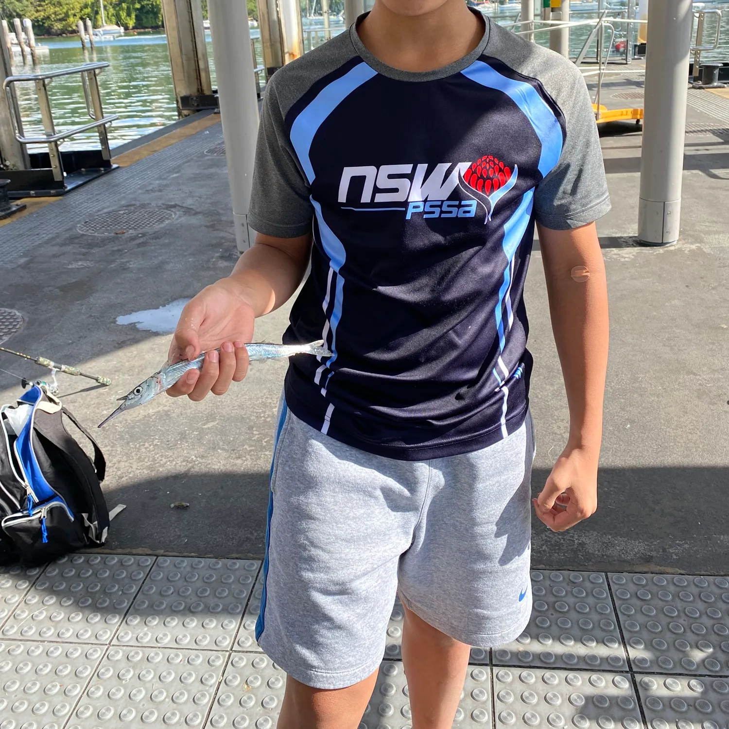 The most recent Flat needlefish catches on Fishbrain