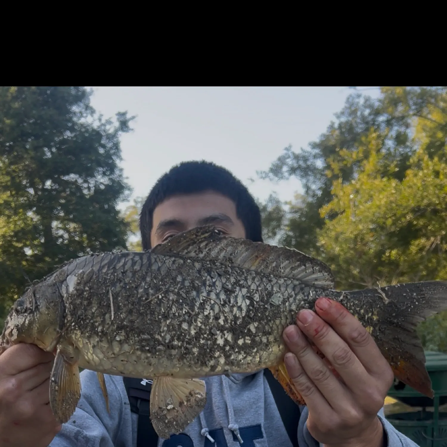 most liked catch image