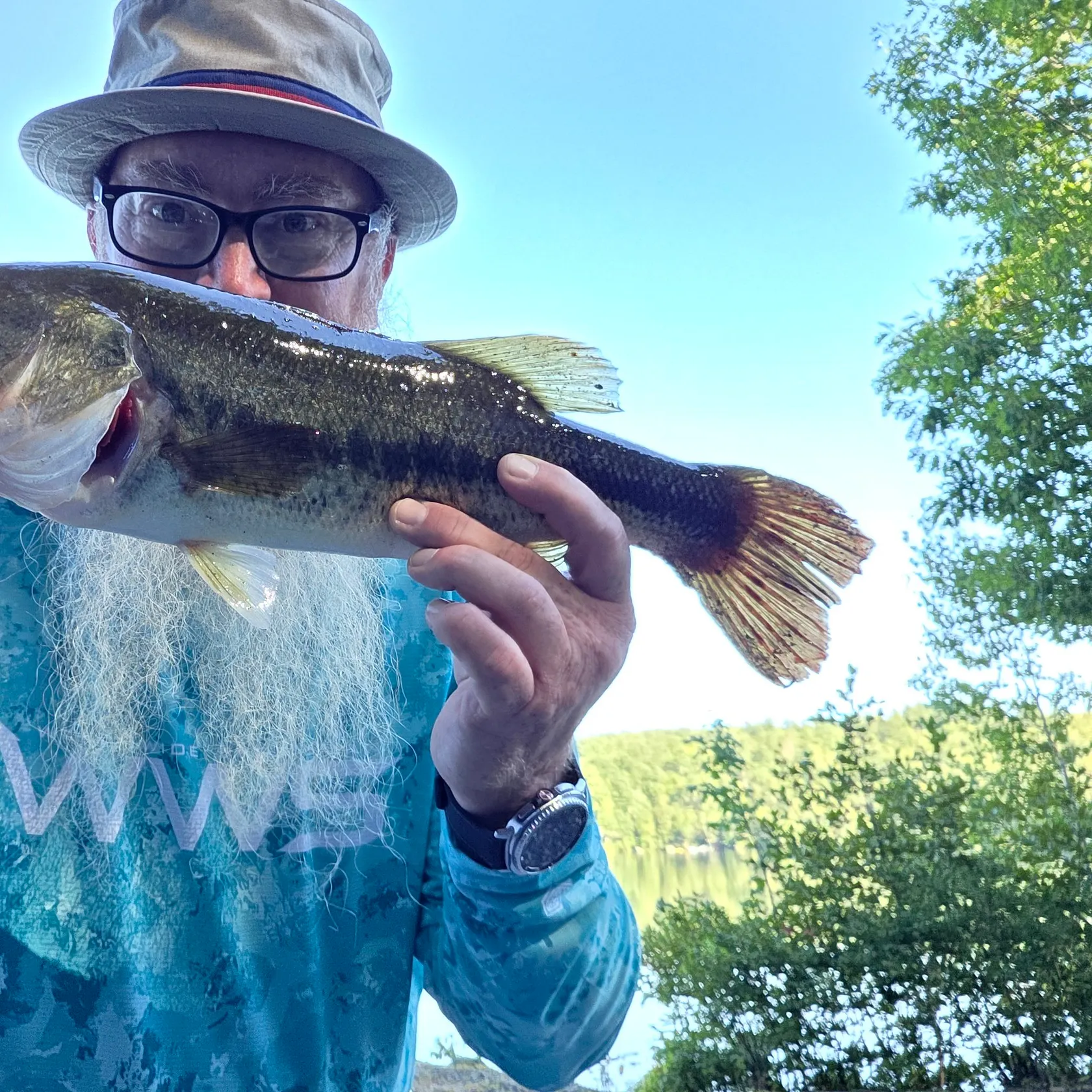 Largemouth bass caught on Fishbrain