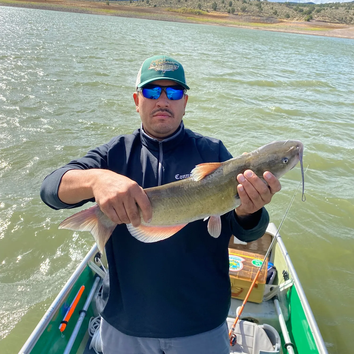 Channel catfish caught on Fishbrain