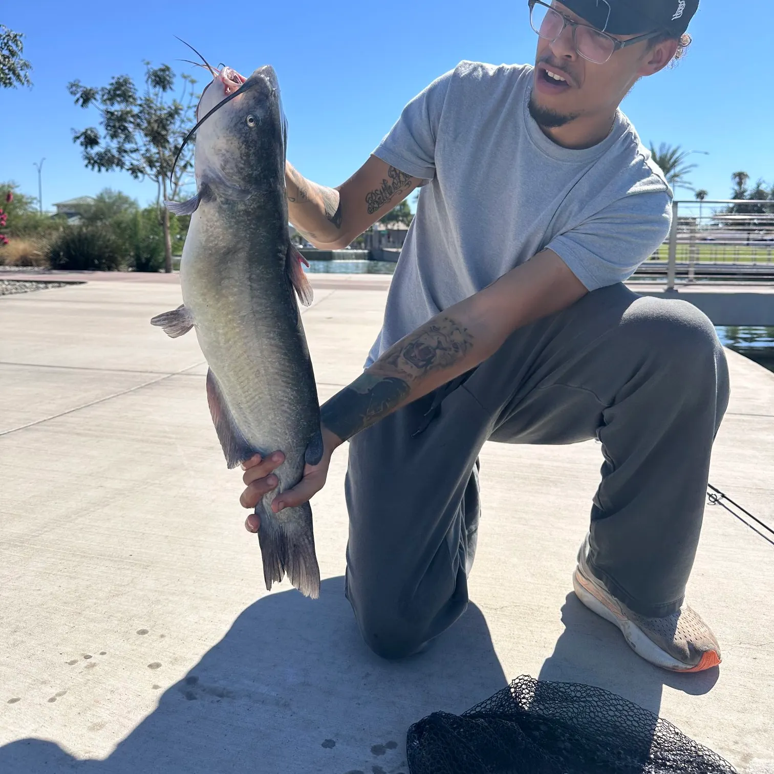 Channel catfish caught on Fishbrain