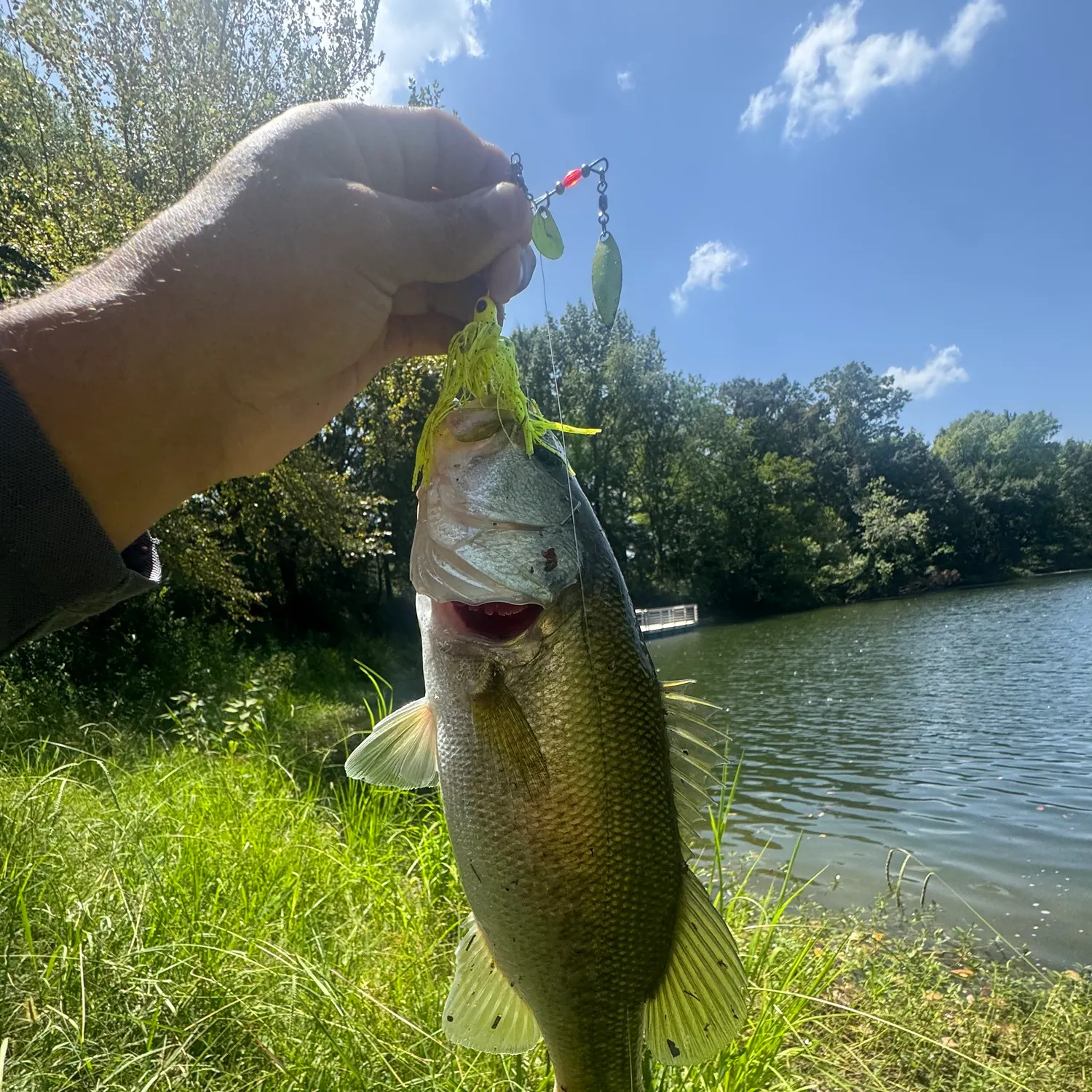 Fish caught on Fishbrain