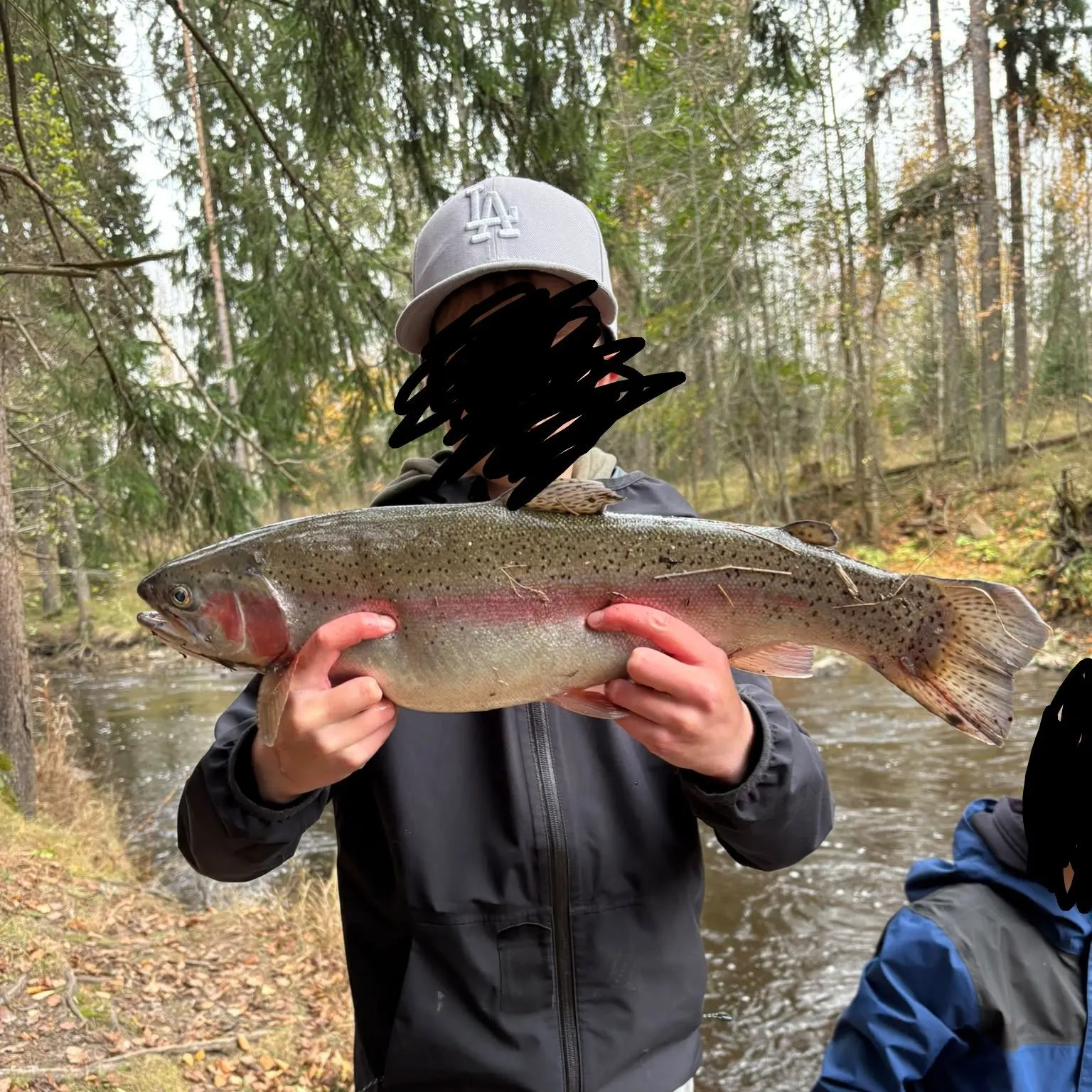 Rainbow trout caught on Fishbrain