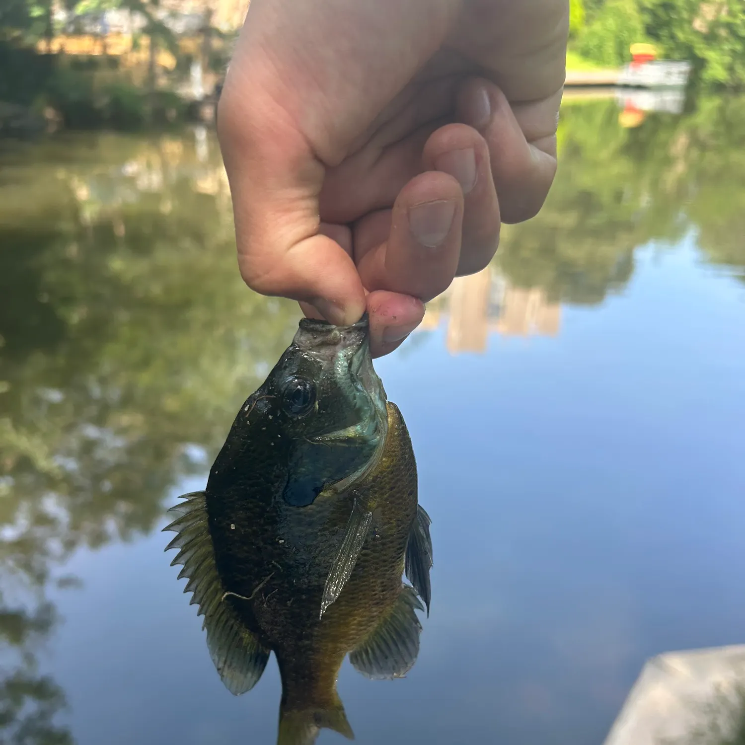 catch