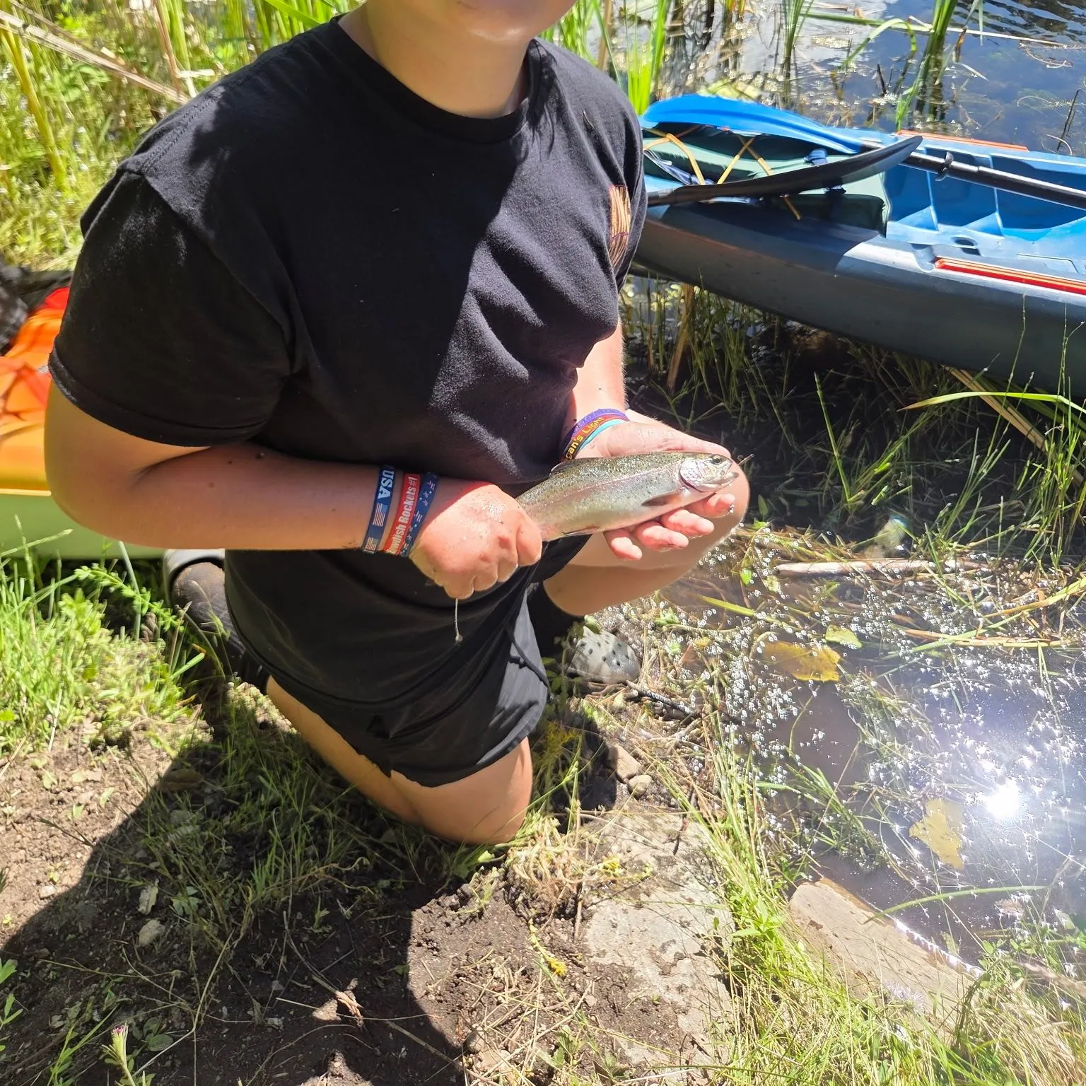Rainbow trout caught on Fishbrain