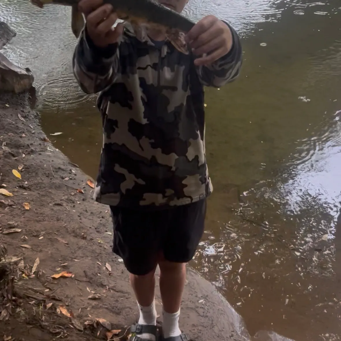 Largescale sucker caught on Fishbrain