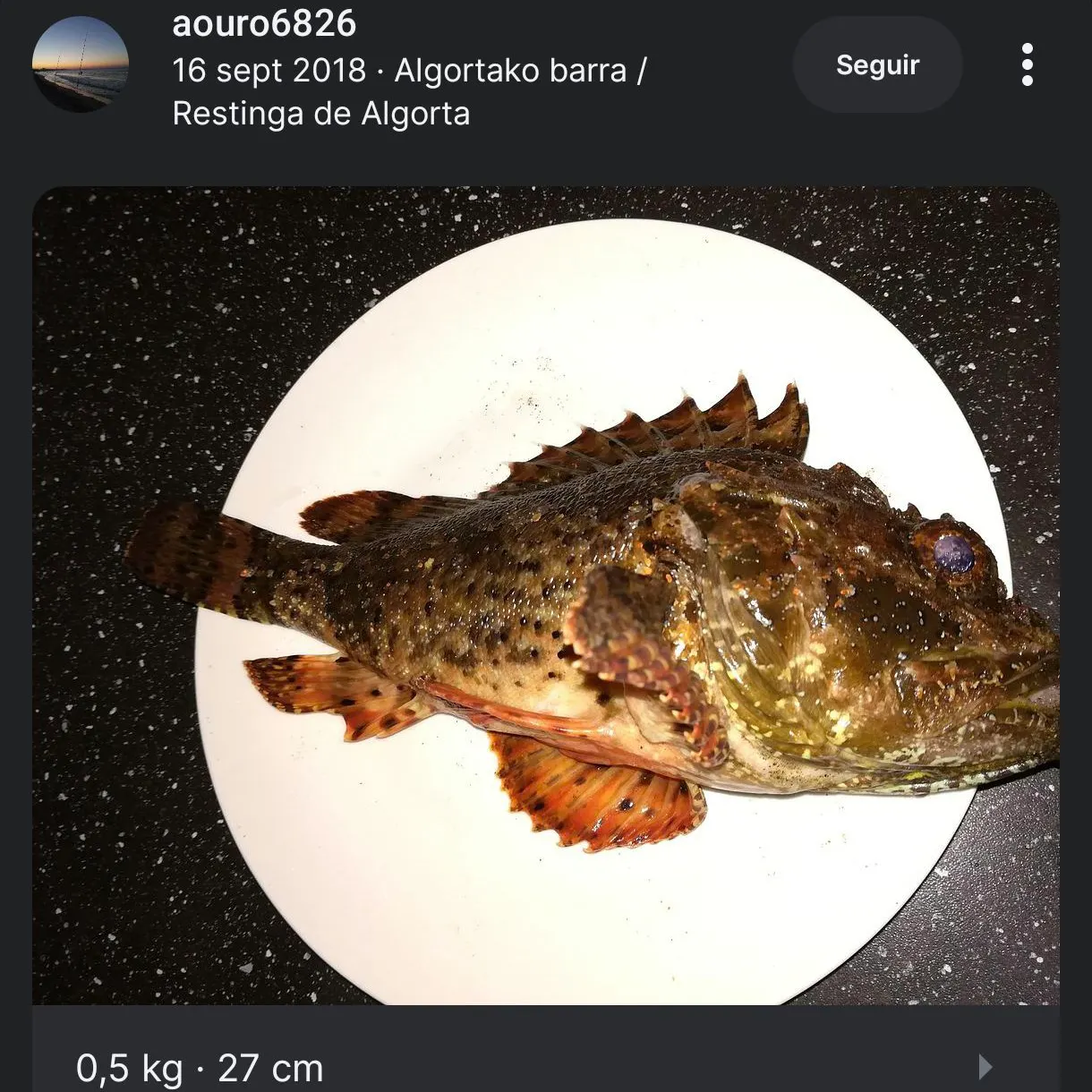 recently logged catches