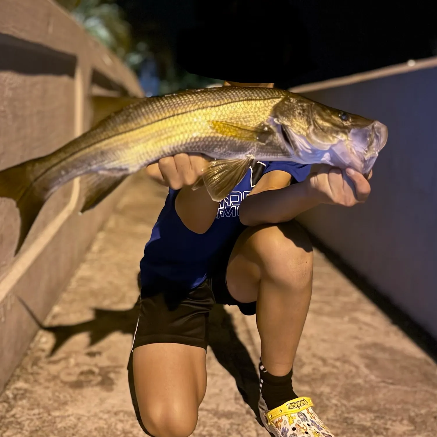 The most recent Common snook catches on Fishbrain