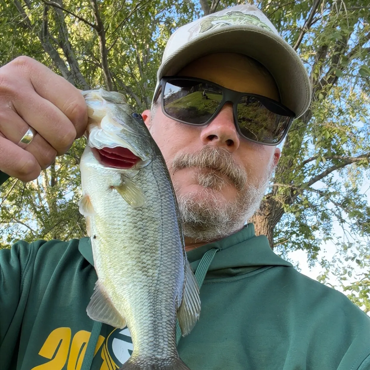 Largemouth bass caught on Fishbrain