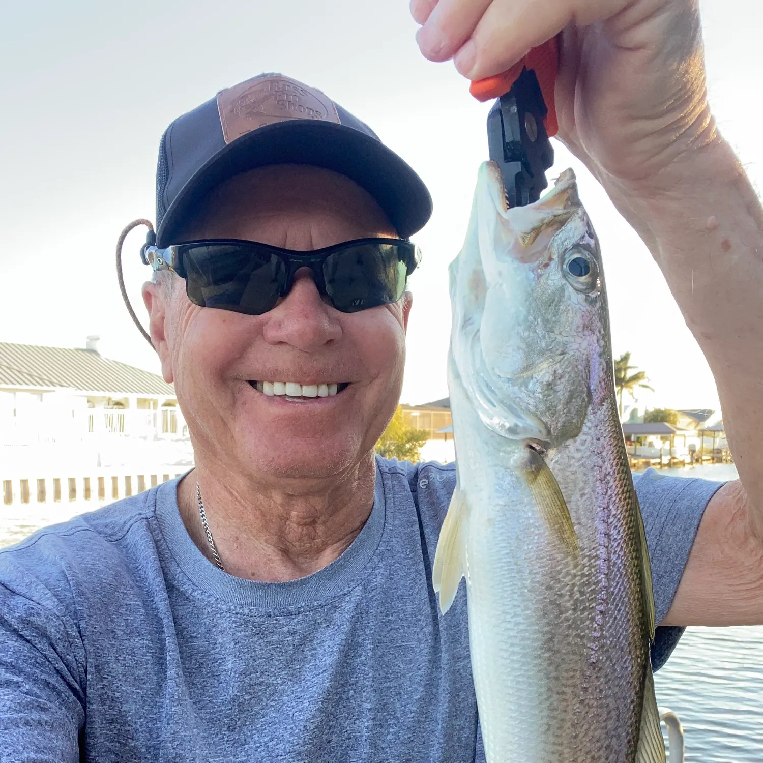 The most recent Gray weakfish catches on Fishbrain